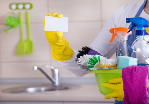 Professional carpet cleaning equipment and service introduction