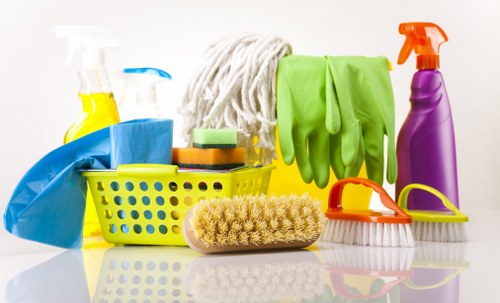 Professional carpet cleaning in Sydenham Hill living room