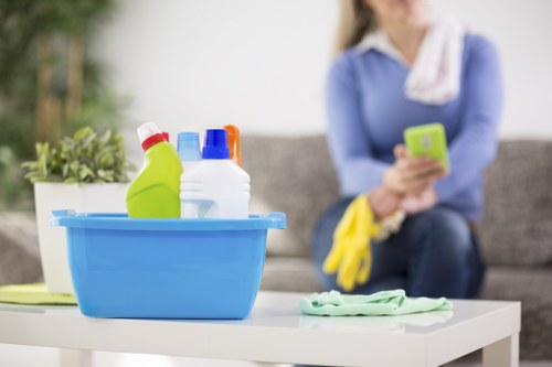 Accepted payment methods including card and PayPal for carpet cleaning