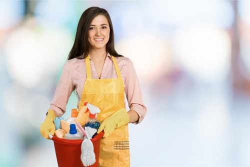 Sydenham Hill Carpet Cleaners presenting trusted and thorough carpet care