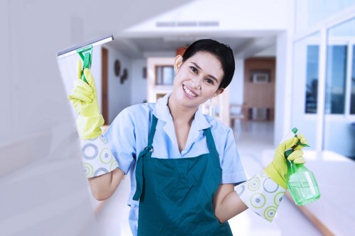 Review stage for a carpet cleaning complaint and supporting details