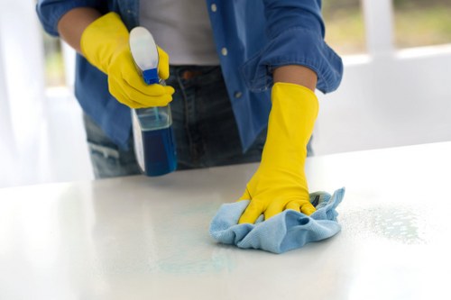 Deep rug cleaning process removing dirt and stains from a home rug